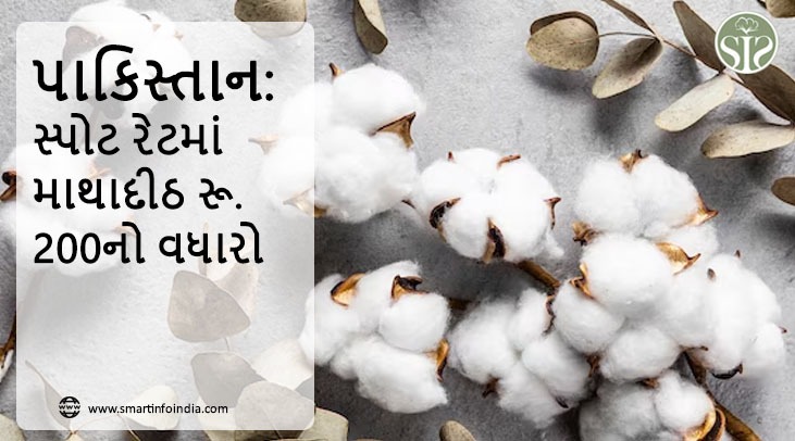 પાકિસ્તાન: સ્પોટ રેટમાં માથાદીઠ રૂ. 200નો વધારો