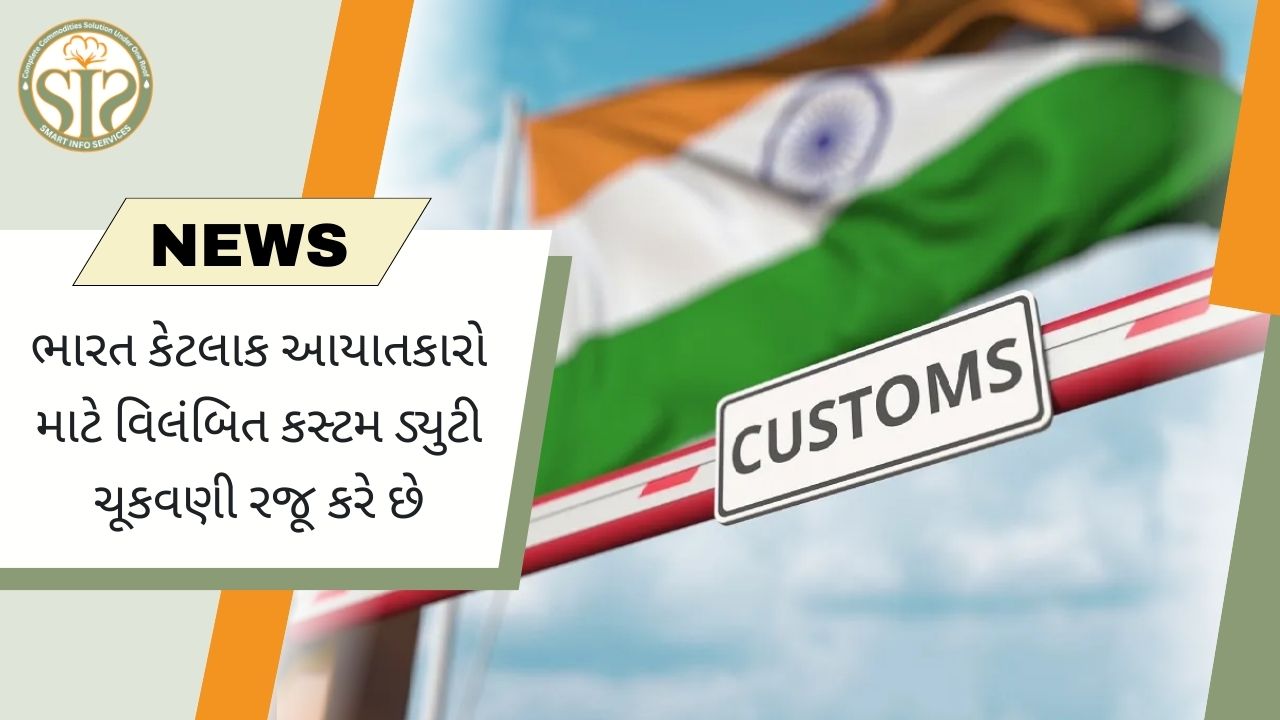 ભારતમાં કેટલાક આયાતકારોને કસ્ટમ ડ્યુટીની ચુકવણીમાં રાહત