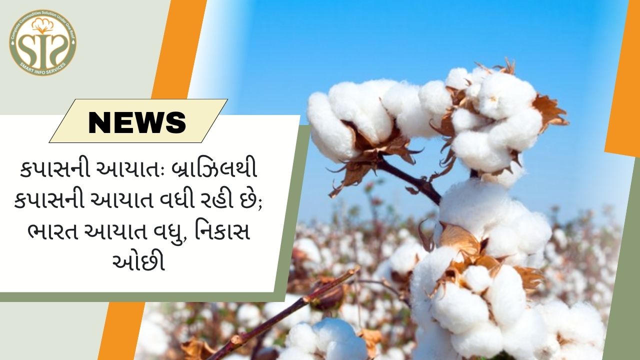 બ્રાઝિલથી કપાસની આયાતમાં વધારો, ભારતની આયાત વધુ, નિકાસ ઓછી