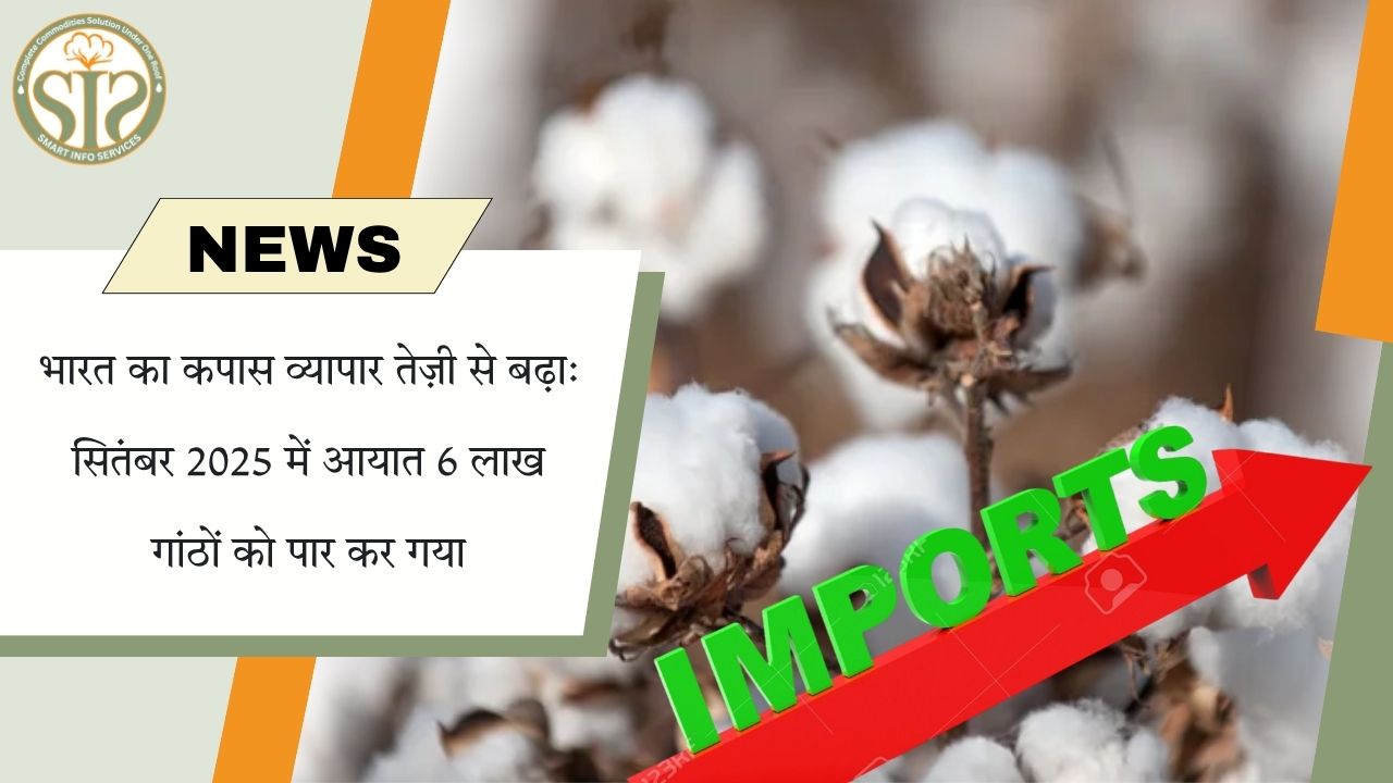 सितंबर 2025 में भारत का कपास आयात 6 लाख गांठों से अधिक