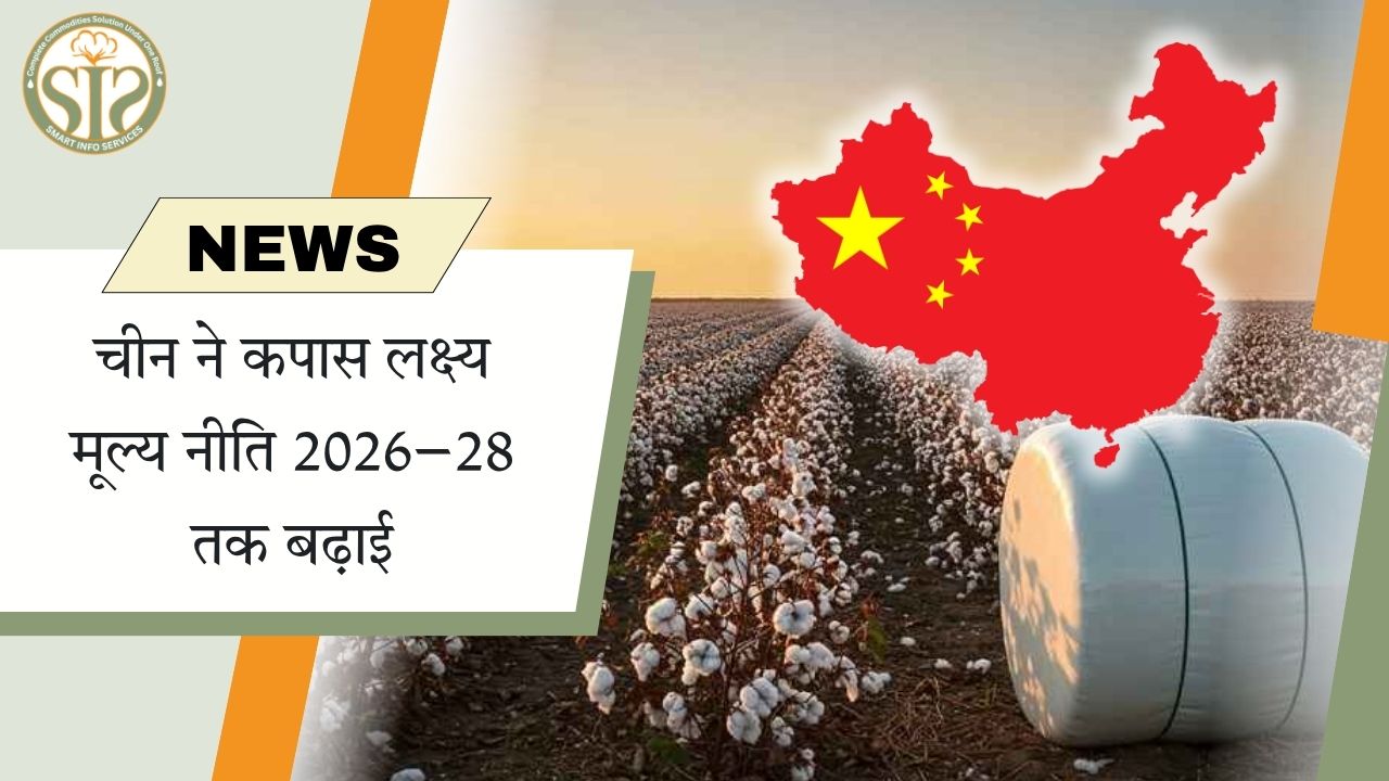 चीन ने 2028 तक बढ़ाई कपास समर्थन मूल्य नीति