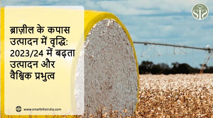 ब्राज़ील के कपास उत्पादन में वृद्धि: 2023/24 में बढ़ता उत्पादन और वैश्विक प्रभुत्व