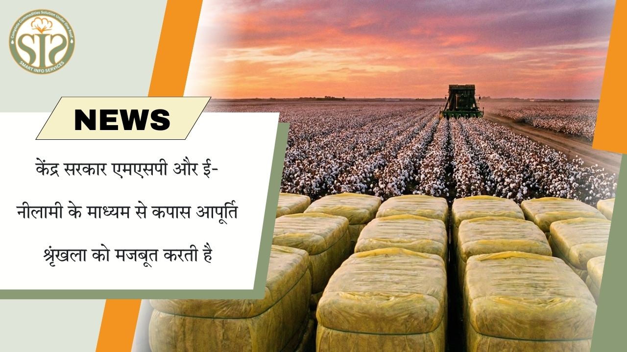 एमएसपी और ई-नीलामी से कपास आपूर्ति मजबूत