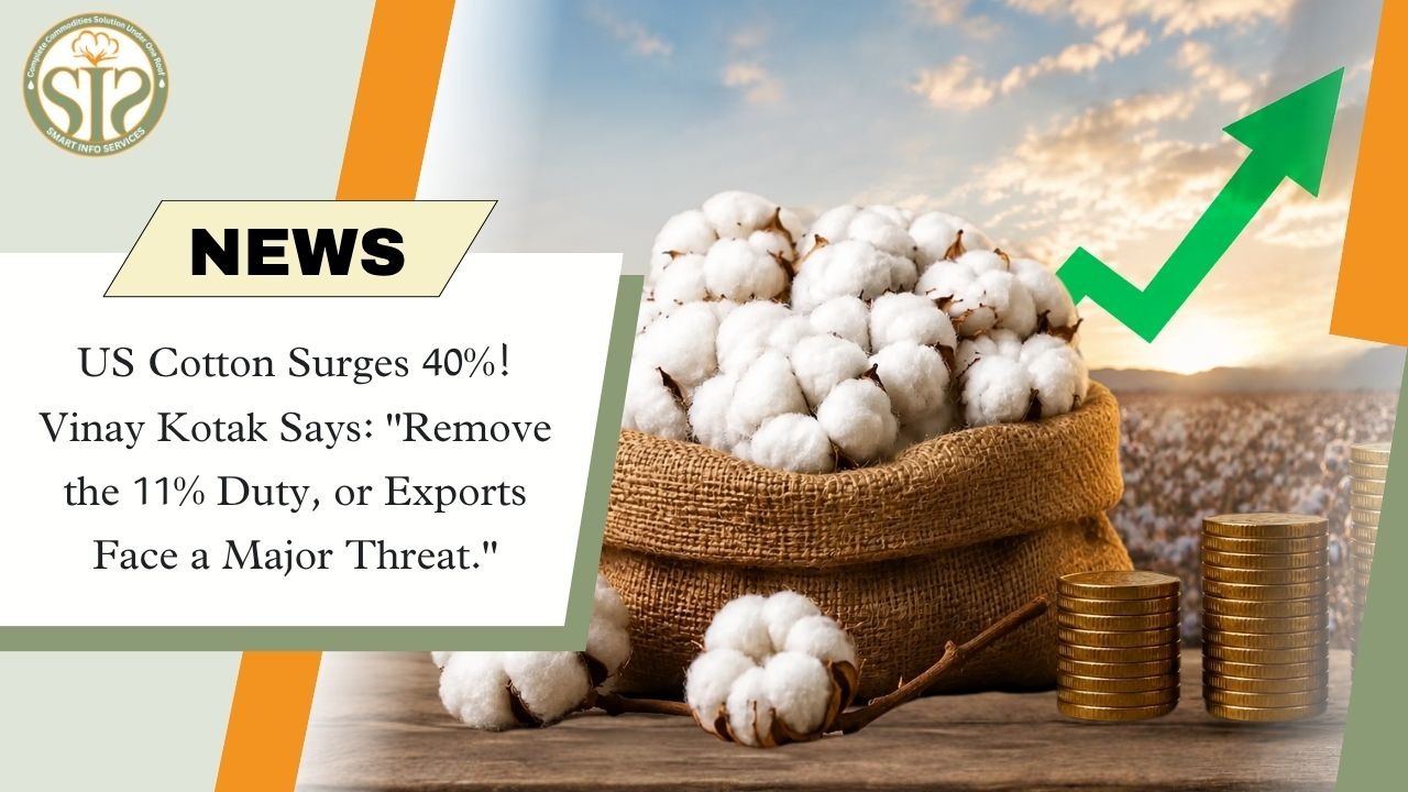 US Cotton Jumps 40%; Cotton Association Urges Removal of 11% Import Duty