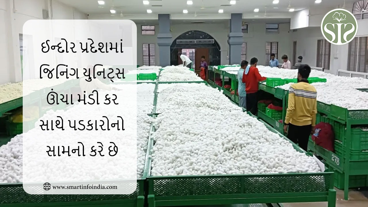 ઈન્દોર પ્રદેશમાં જિનિંગ યુનિટ ઊંચા મંડી ટેક્સને કારણે પડકારોનો સામનો કરી રહ્યા છે