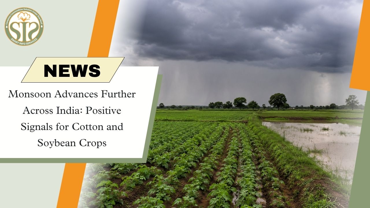 Monsoon Advances Across India, Boosts Outlook for Cotton and Soybean Crops
