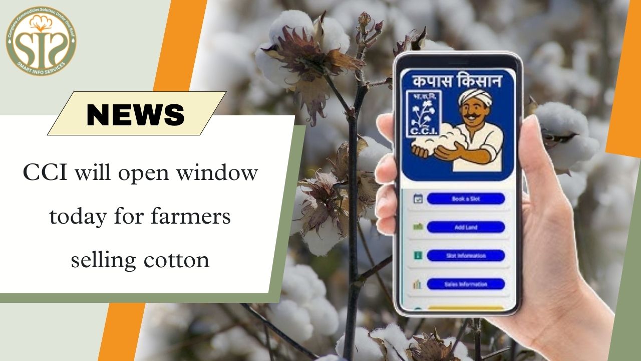 CCI procurement starts today for cotton farmers