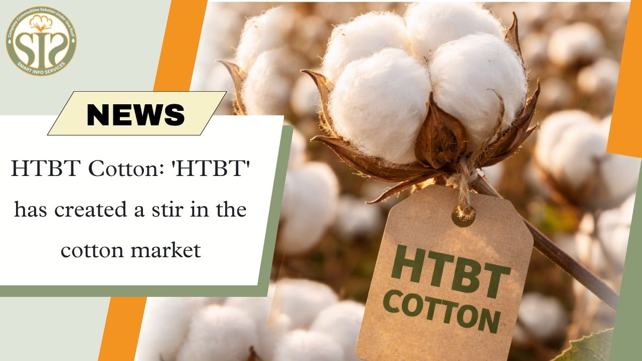 HTBT Cotton: New movement in the market