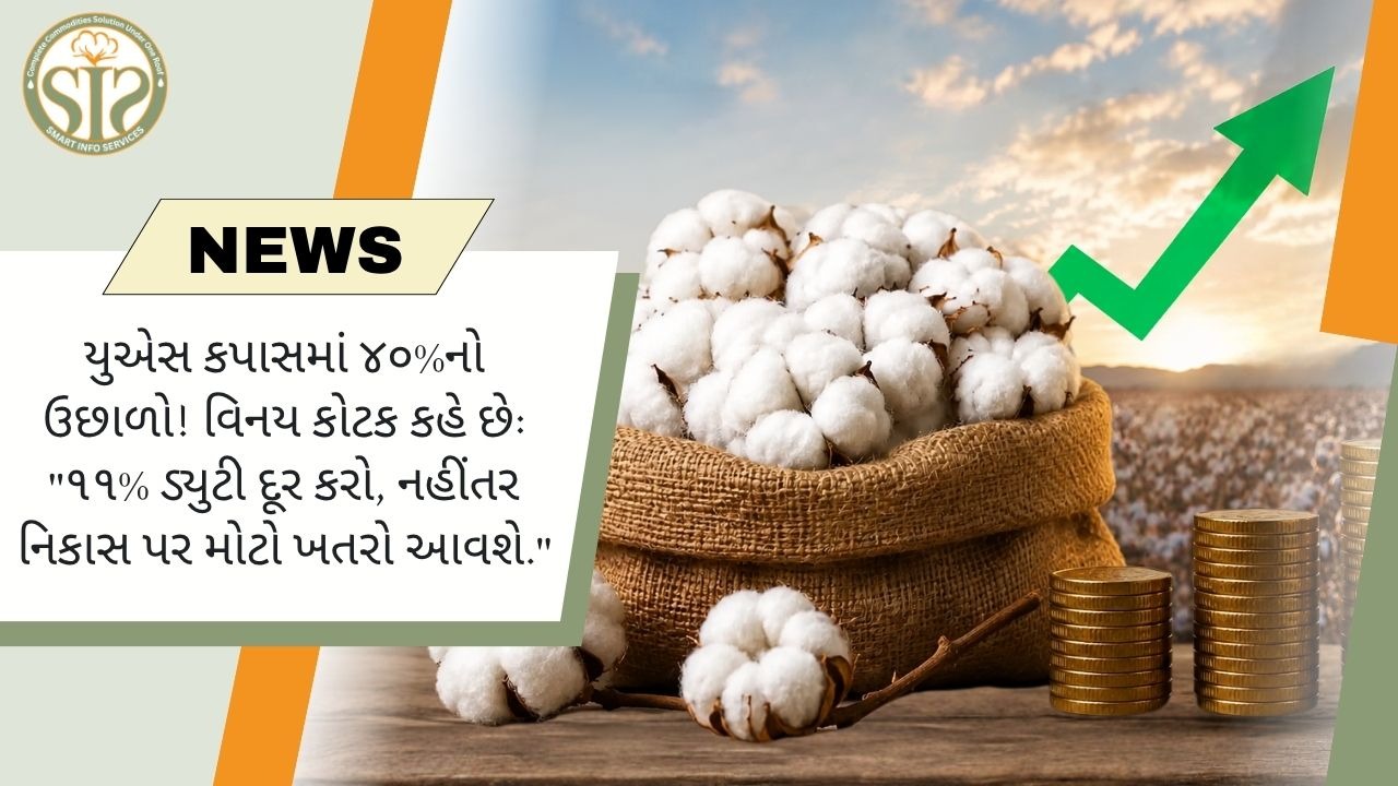 અમેરિકન કપાસમાં 40% ઉછાળો, 11% આયાત શુલ્ક દૂર કરવાની માંગ; નિકાસને જોખમ