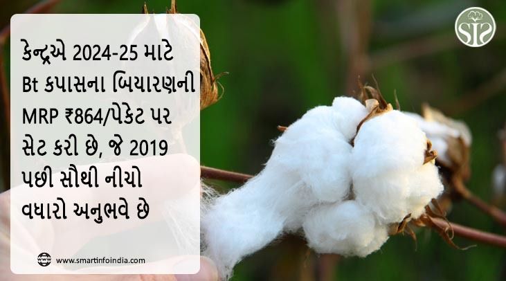 કેન્દ્રએ 2024-25 માટે Bt કપાસના બિયારણની MRP ₹864/પેકેટ નક્કી કરી છે, જે 2019 પછી સૌથી નીચો વધારો અનુભવે છે