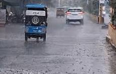 संखेड़ा में अच्छी बारिश से कपास बुवाई शुरू