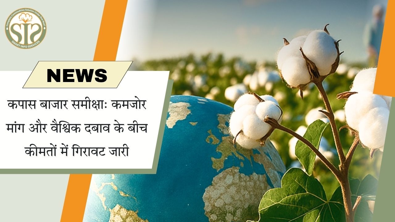 कमजोर मांग के बीच कपास कीमतों में गिरावट जारी