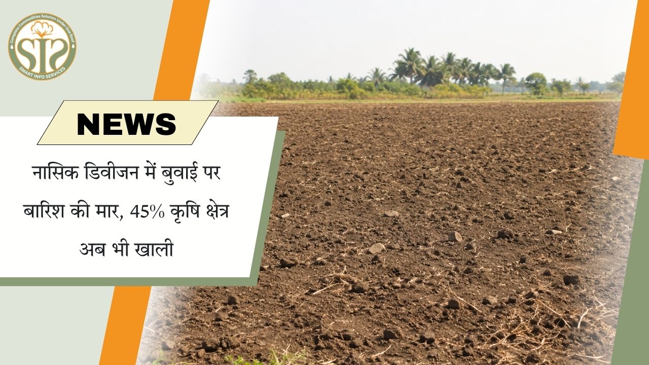 कमजोर मानसून से नासिक में खरीफ बुवाई प्रभावित, 45% कृषि भूमि अब भी बिना बोई