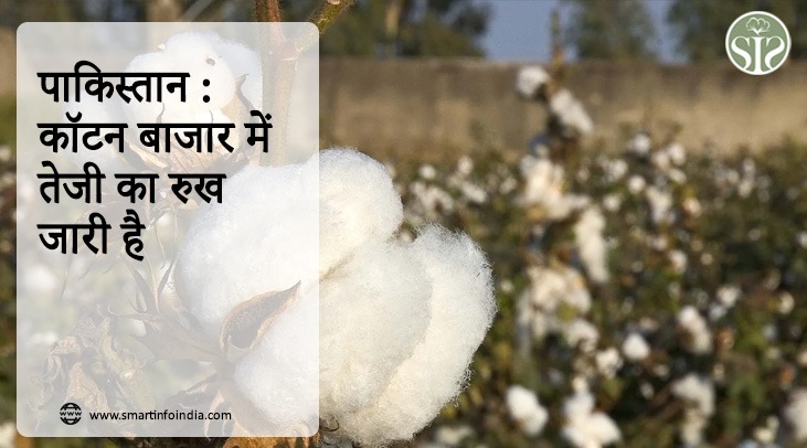 पाकिस्तान : कॉटन बाजार में तेजी का रुख जारी है