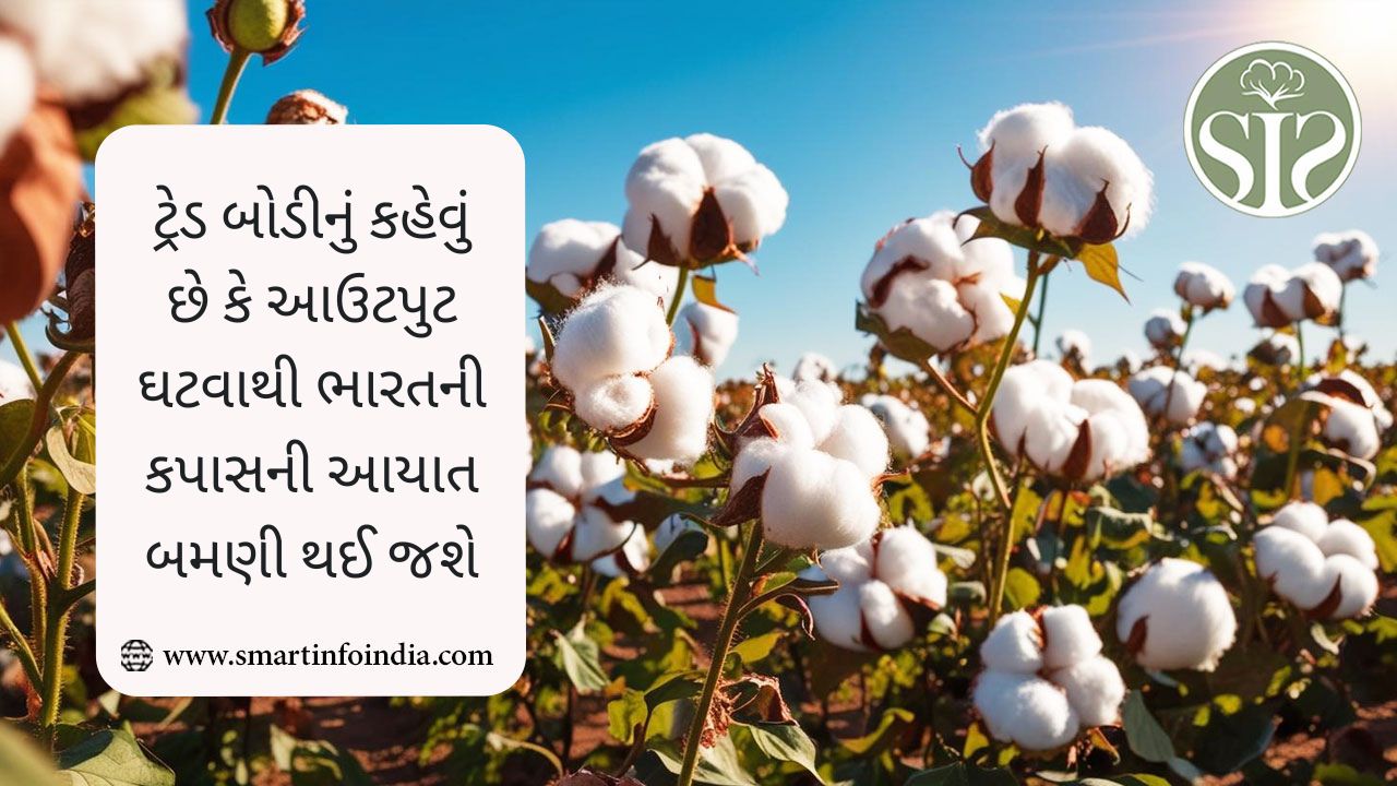 ટ્રેડ બોડીનું કહેવું છે કે આઉટપુટ ઘટવાથી ભારતની કપાસની આયાત બમણી થઈ જશે