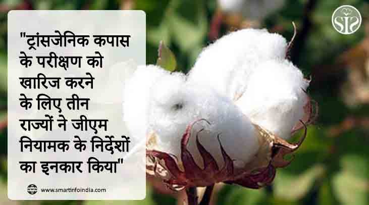 "ट्रांसजेनिक कपास के परीक्षण को खारिज करने के लिए तीन राज्यों ने जीएम नियामक के निर्देशों का इनकार किया"