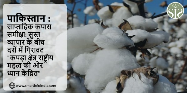 पाकिस्तान : साप्ताहिक कपास समीक्षा: सुस्त व्यापार के बीच दरों में गिरावट; "कपड़ा क्षेत्र राष्ट्रीय महत्व की ओर ध्यान केंद्रित"