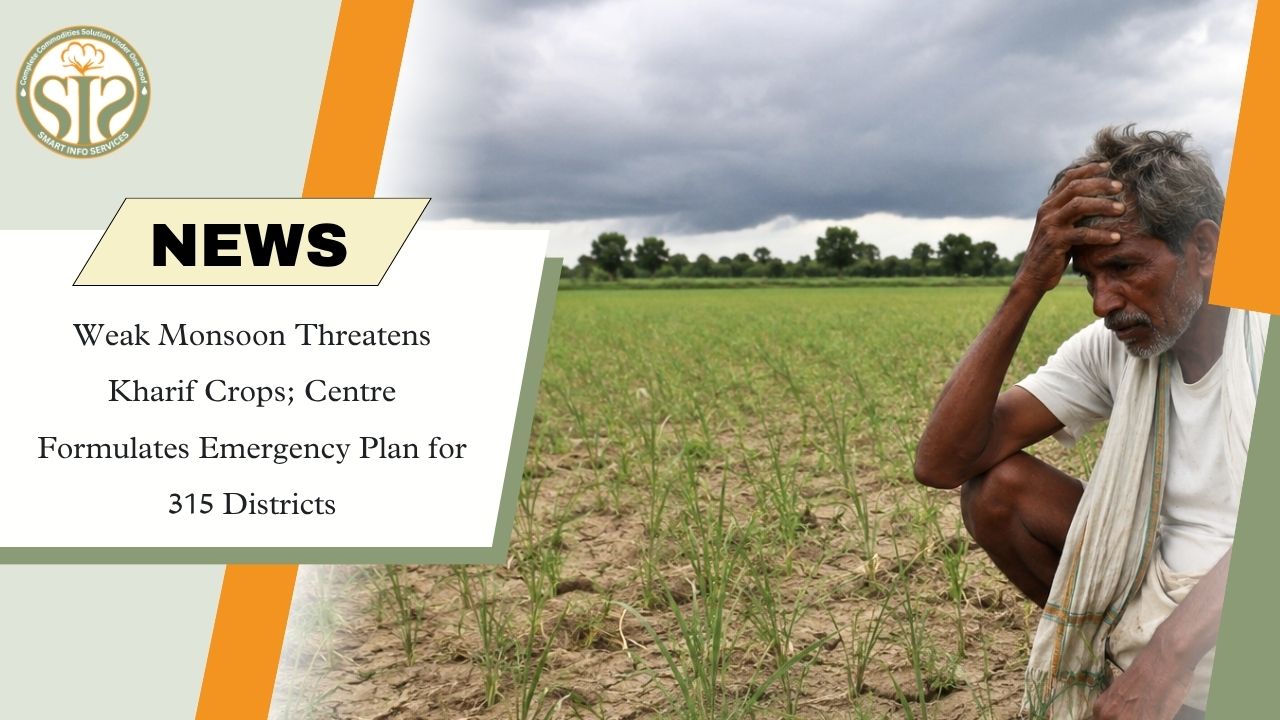 Weak Monsoon Puts Kharif Crops at Risk