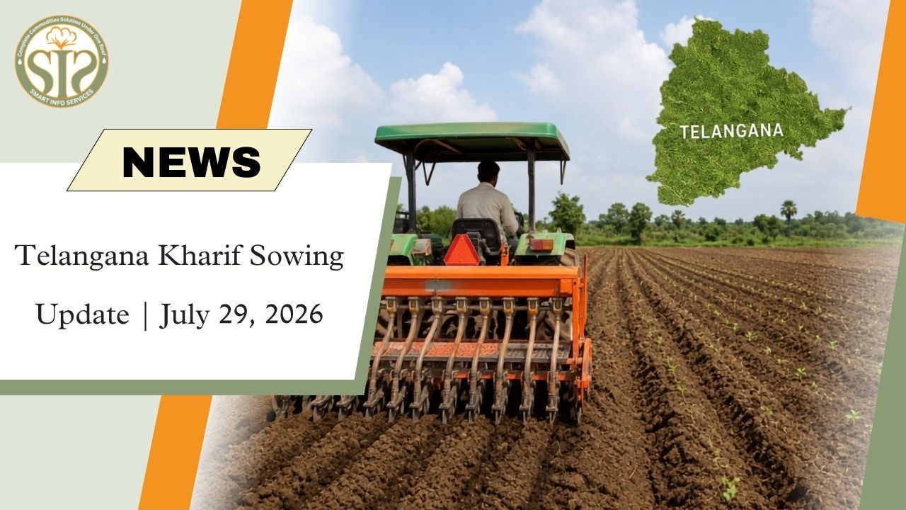 Telangana Kharif Sowing Nears Completion; Cotton Covers 46.34 Lakh Acres