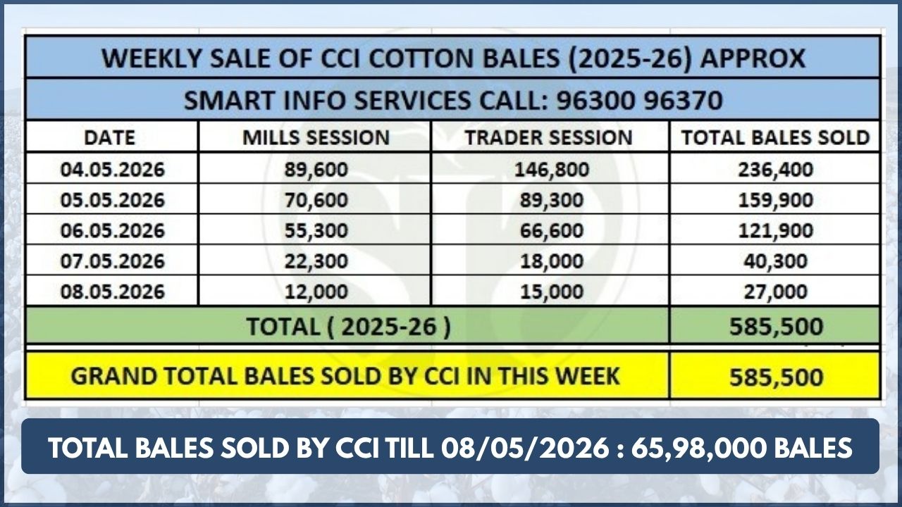 CCI Hikes Cotton Candy Price by ₹4,100; Auction Crosses 5.85 Lakh Bales