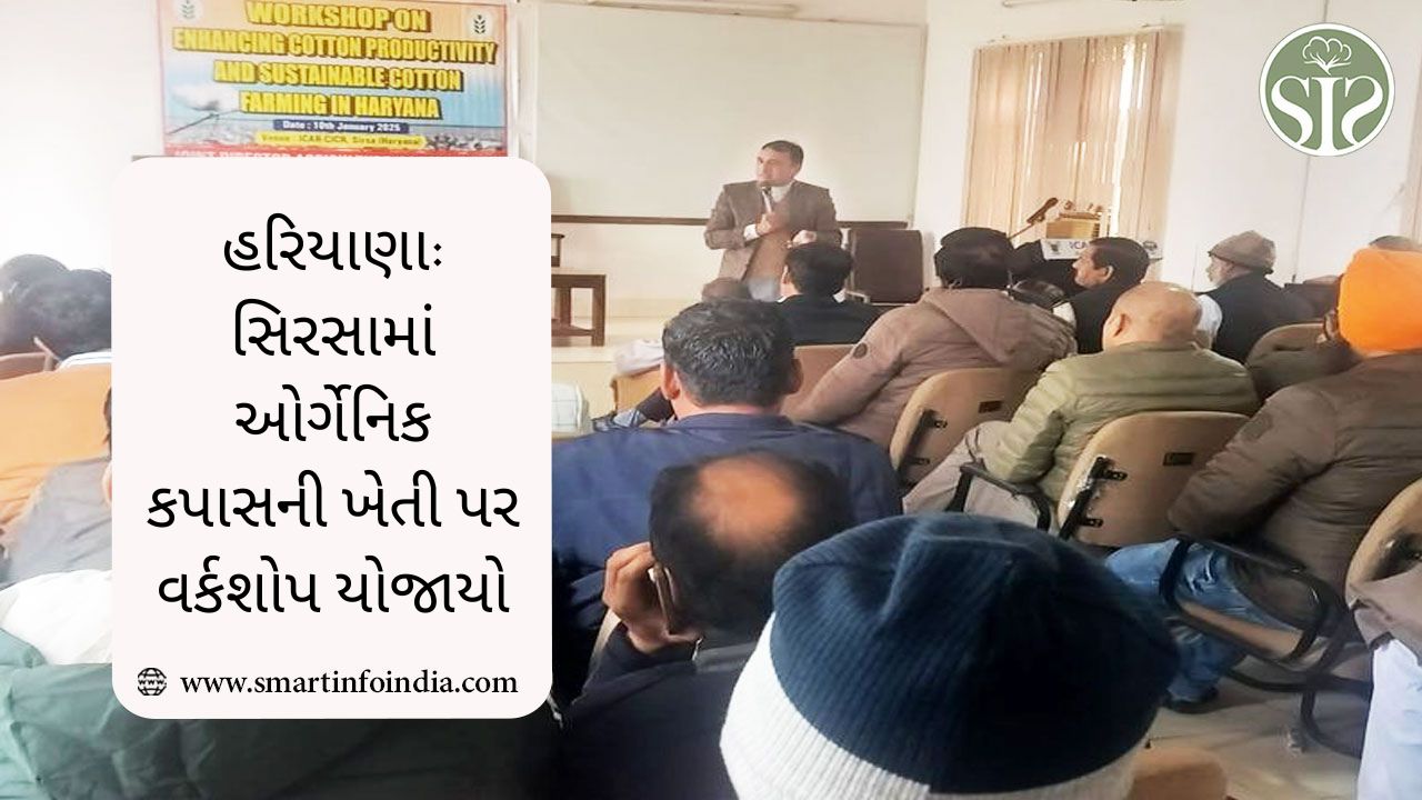 હરિયાણા: સિરસામાં ઓર્ગેનિક કપાસની ખેતી પર વર્કશોપ યોજાયો