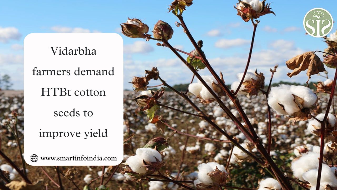 Vidarbha farmers demand HTBt cotton seeds to improve yield