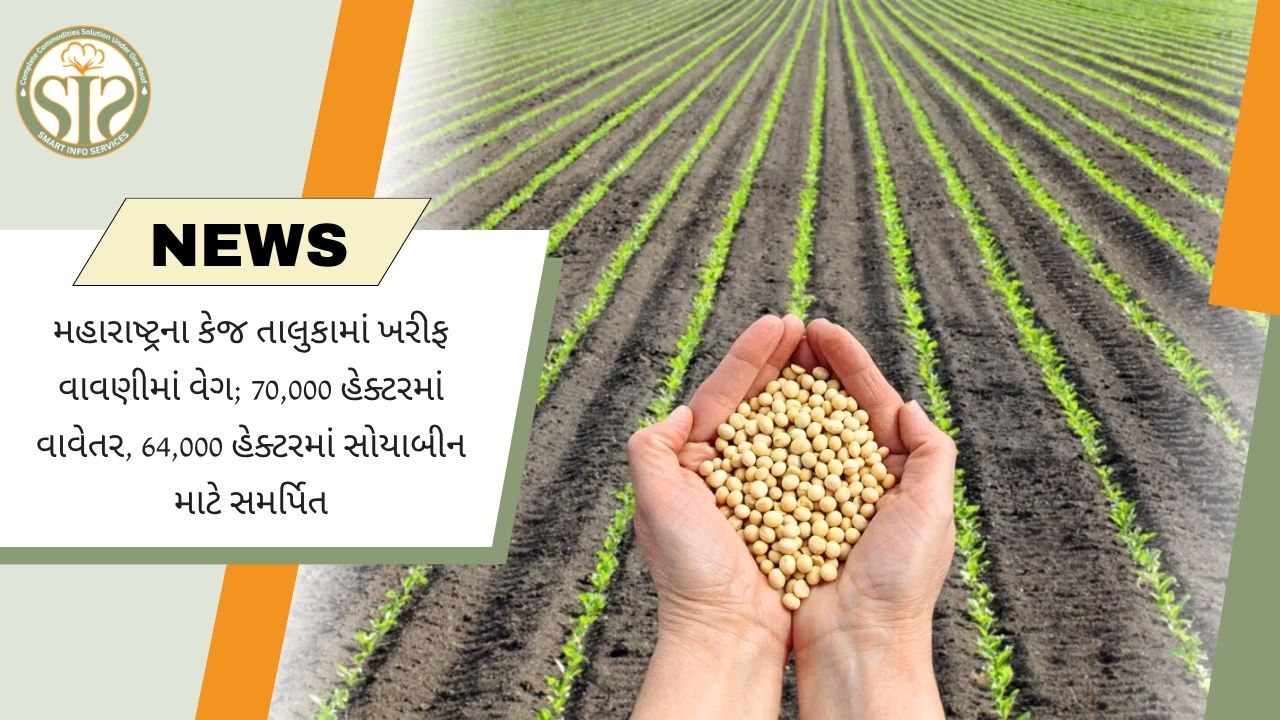 મહારાષ્ટ્રના કેજ તાલુકામાં ખરીફ વાવણી લગભગ પૂર્ણ, 64 હજાર હેક્ટરમાં સોયાબીનનું વાવેતર