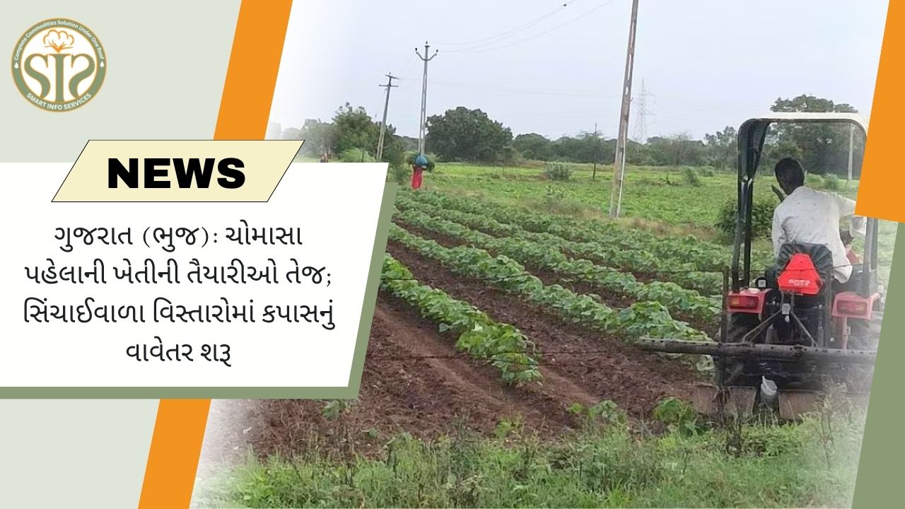 મોન્સૂન પહેલા કચ્છમાં કપાસ વાવેતર શરૂ
