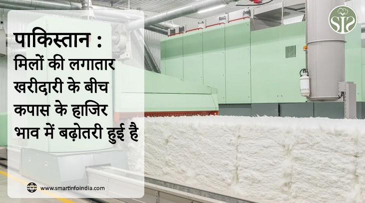पाकिस्तान : मिलों की लगातार खरीदारी के बीच कपास के हाजिर भाव में बढ़ोतरी हुई है