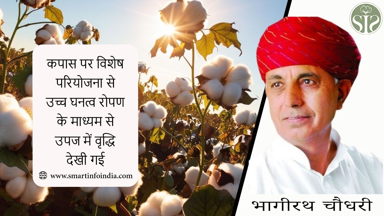 कपास पर विशेष परियोजना से उच्च घनत्व रोपण के माध्यम से उपज में वृद्धि देखी गई