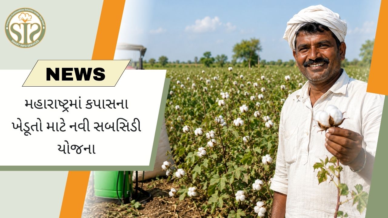 મહારાષ્ટ્રના કપાસ ખેડૂતો માટે નવી સબસિડી યોજના, મળશે ₹75,000 સુધીની સહાય