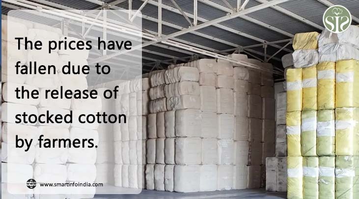 Due to the release of stocked cotton by the farmers, the prices declined.
