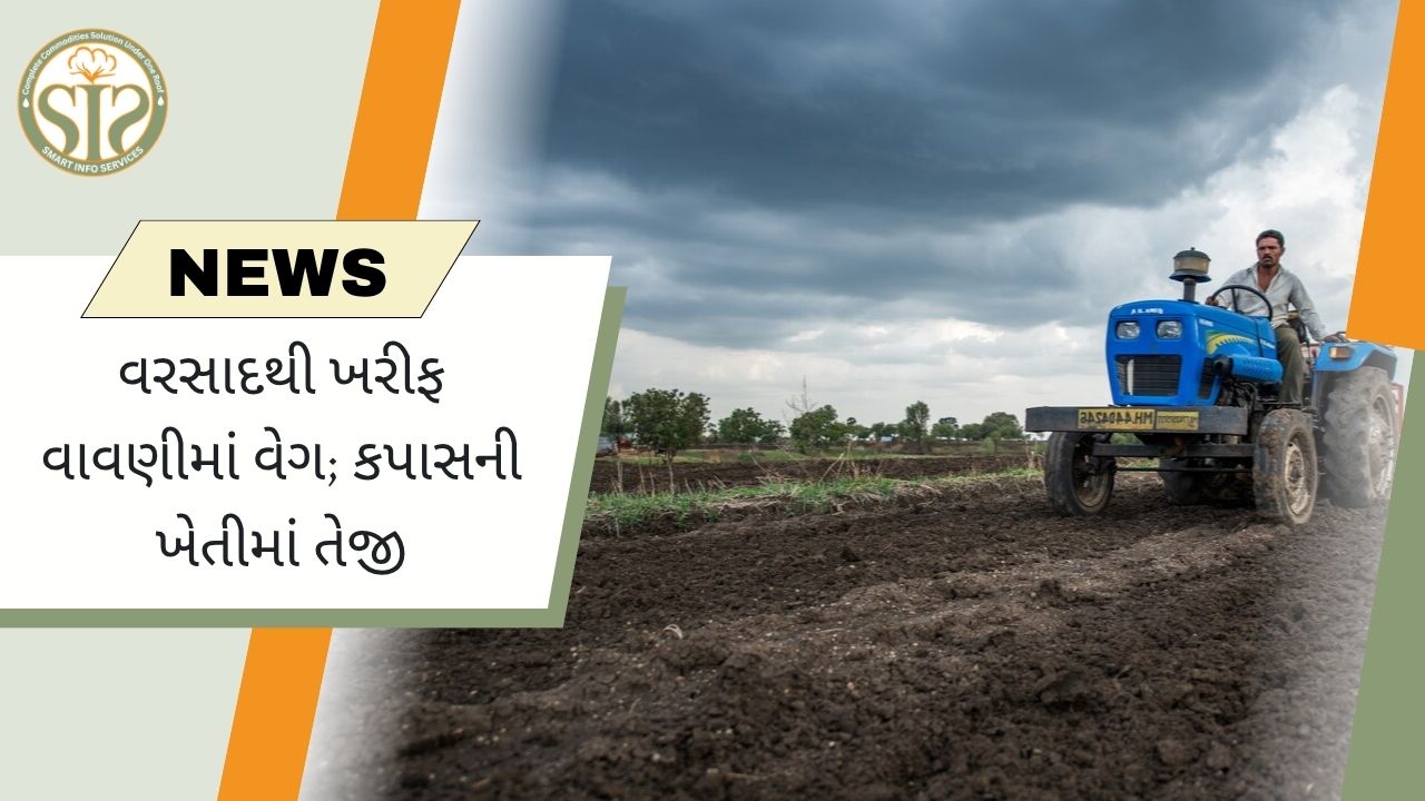 વરસાદથી અમરાવતીમાં ખરીફ વાવેતર તેજ