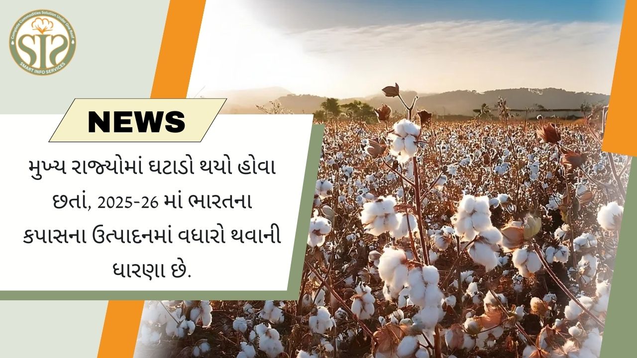 ૨૦૨૫-૨૬માં ભારતમાં કપાસનું ઉત્પાદન વધવાની ધારણા છે.