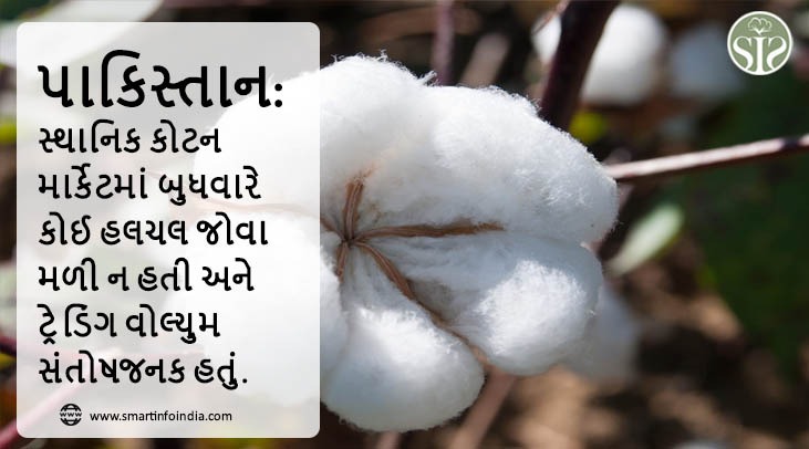 પાકિસ્તાન: સ્થાનિક કોટન માર્કેટમાં બુધવારે કોઈ હલચલ જોવા મળી ન હતી અને ટ્રેડિંગ વોલ્યુમ સંતોષજનક હતું.