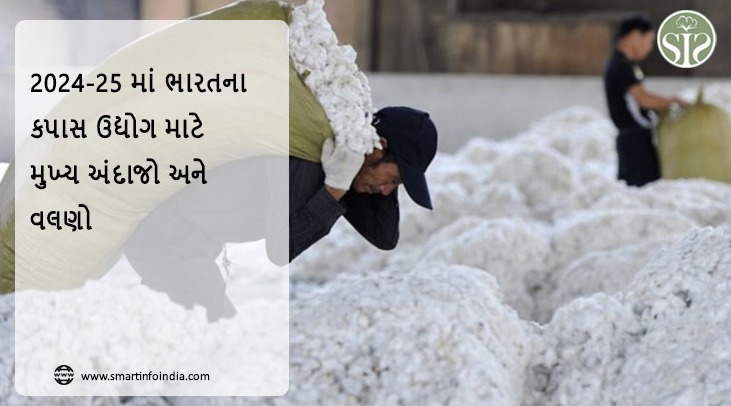 2024-25માં ભારતના કપાસ ઉદ્યોગ માટે મુખ્ય અંદાજો અને વલણો