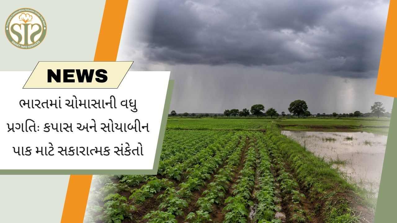 ભારતમાં આગળ વધતા ચોમાસાથી કપાસ અને સોયાબીન પાક માટે સકારાત્મક સંકેતો