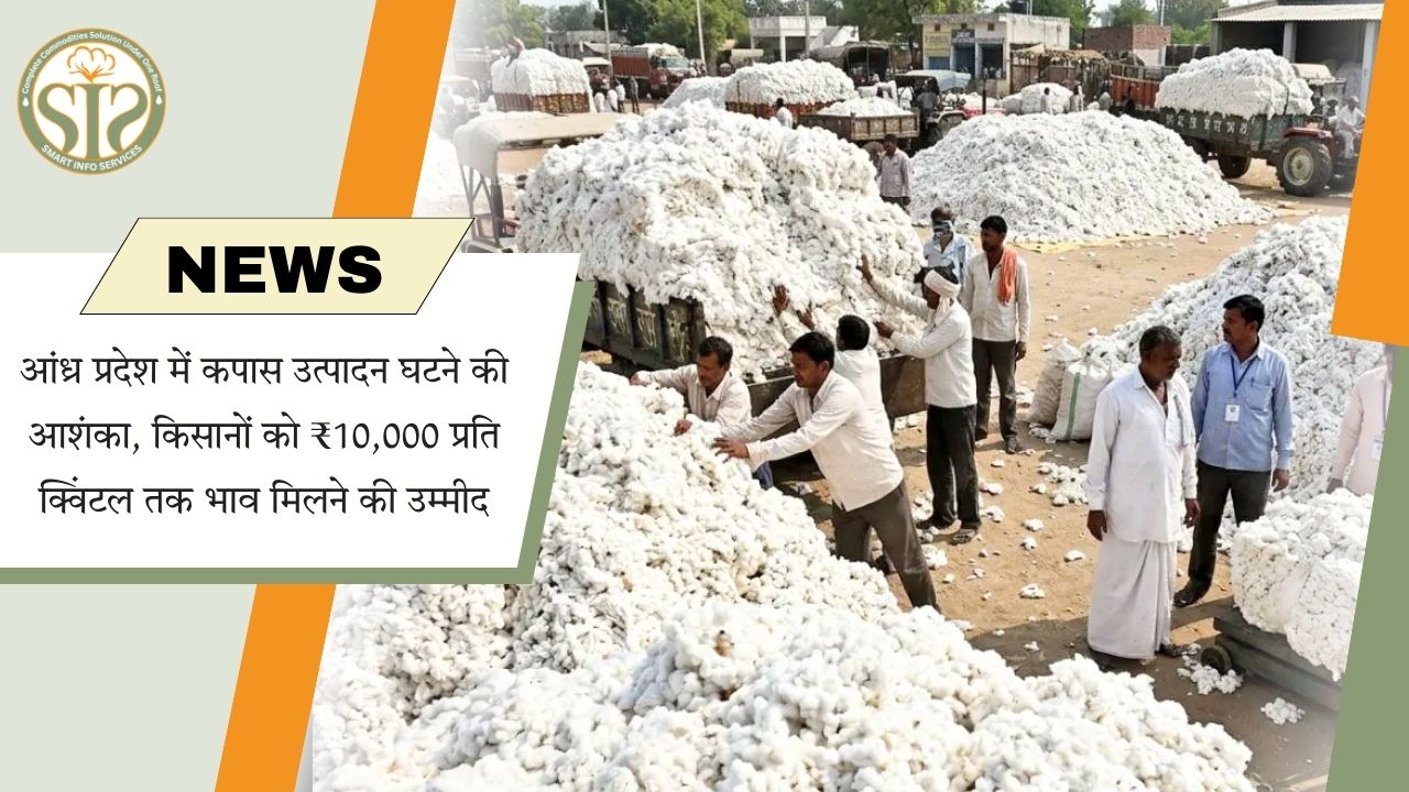आंध्र में कपास के भाव ₹10,000 तक पहुंचने की उम्मीद