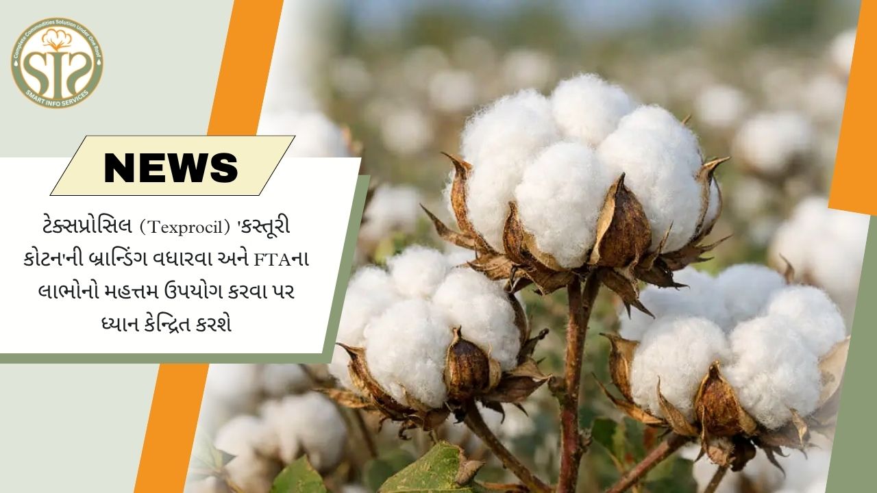 Texprocilનું કસ્તૂરી કોટન પર ફોકસ