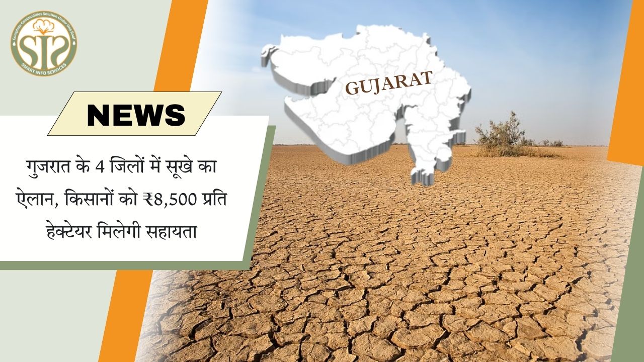 गुजरात में सूखा राहत, किसानों को ₹8,500 प्रति हेक्टेयर