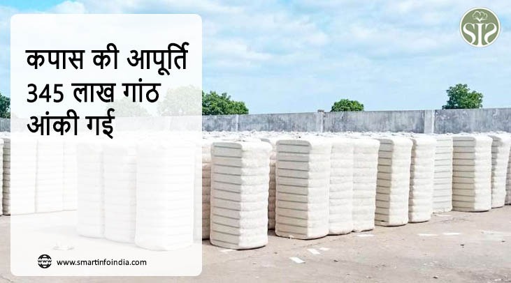 कपास की आपूर्ति 345 लाख गांठ आंकी गई