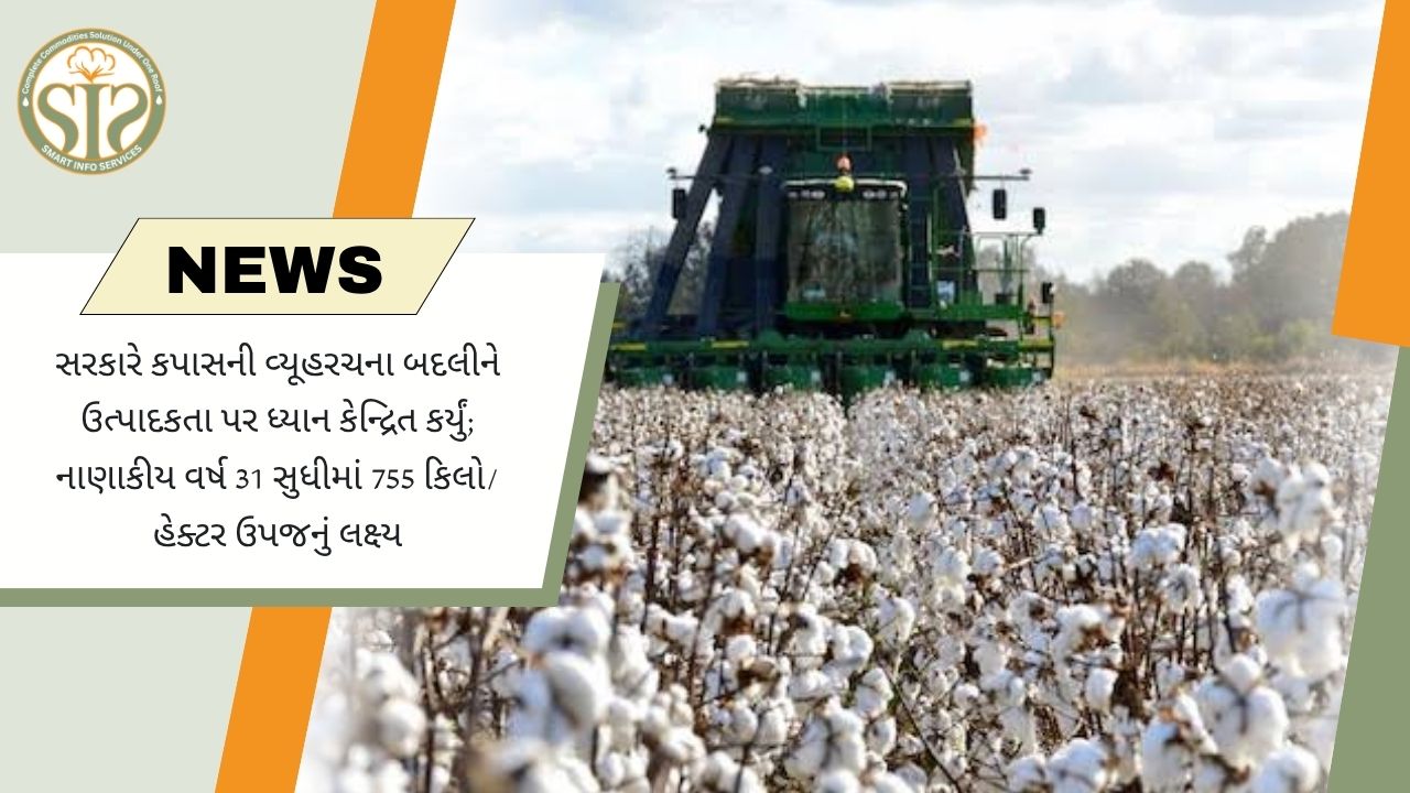 કપાસ ઉત્પાદકતા પર સરકારનો ફોકસ