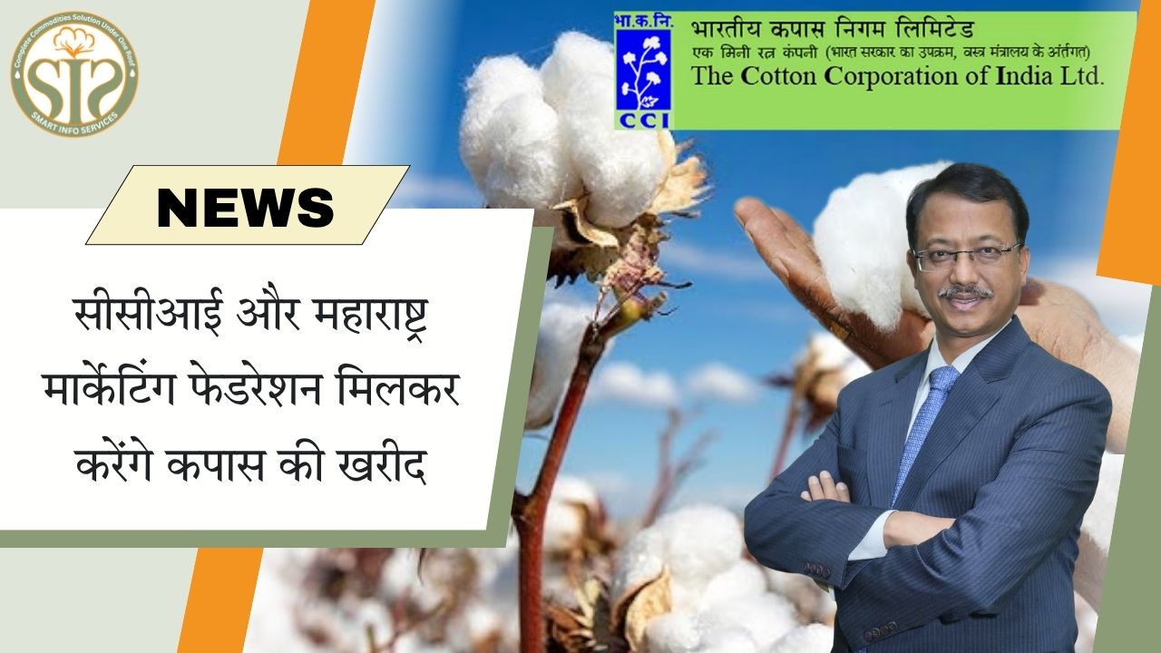 सीसीआई-महाराष्ट्र फेडरेशन साथ मिलकर खरीदेगा कपास