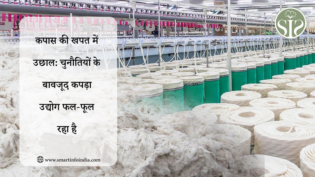 कपास की खपत में उछाल: चुनौतियों के बावजूद कपड़ा उद्योग फल-फूल रहा है