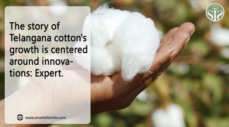 Telangana cotton growth story hinges on innovations: Experts