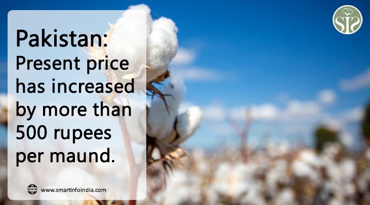 Pakistan: The spot price increased by more than Rs 500 per head