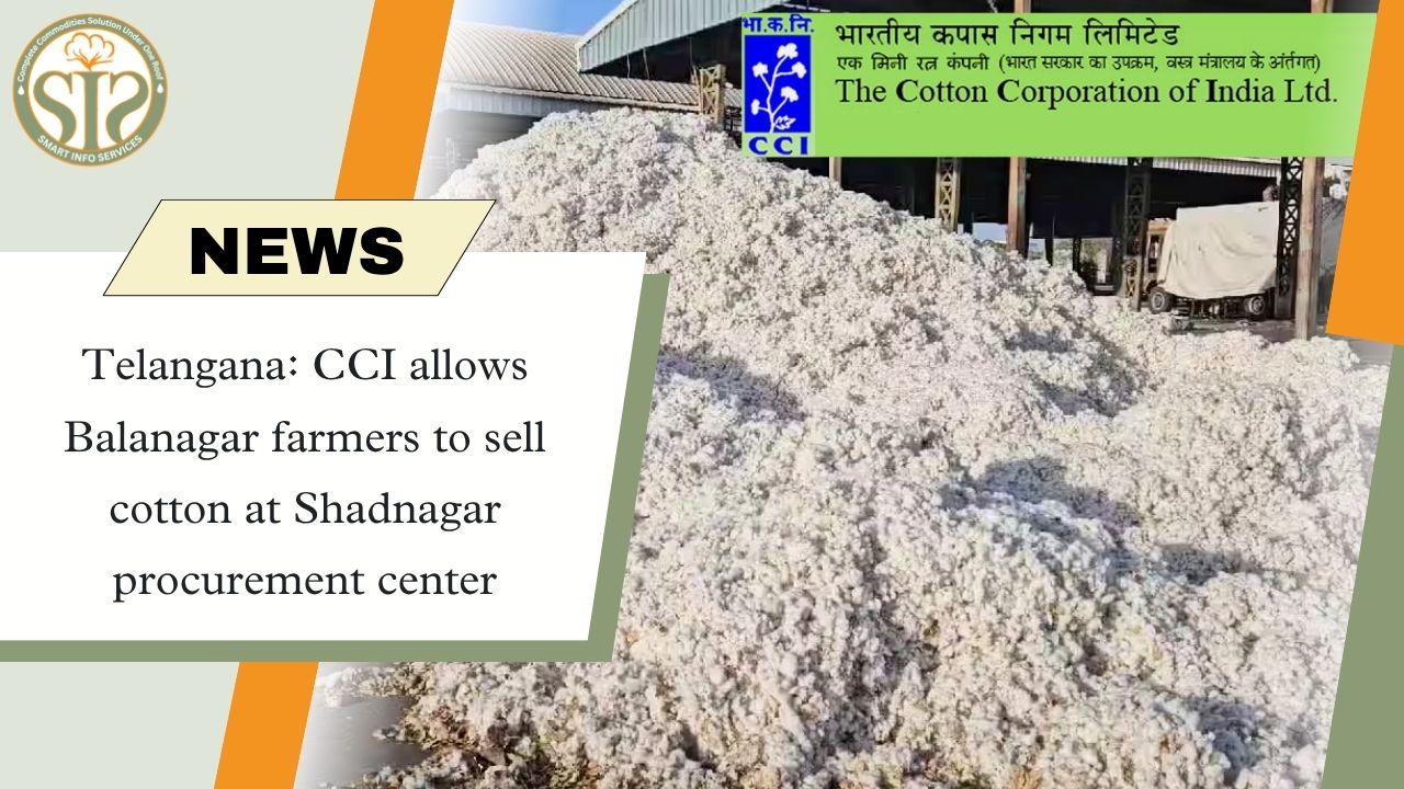 CCI allows Balanagar farmers to sell cotton in Shadnagar
