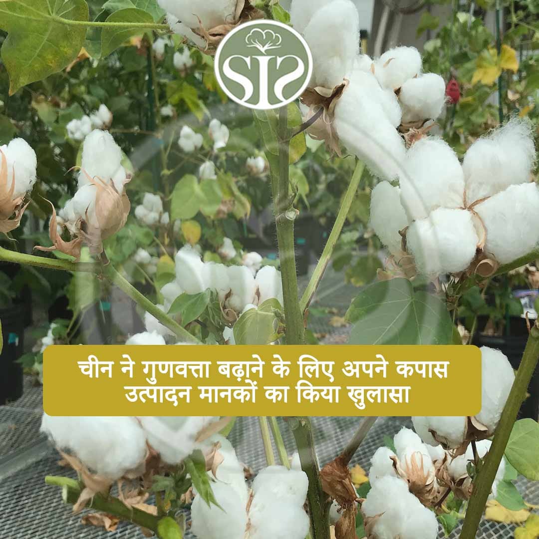 China unveils its cotton production standards to improve quality