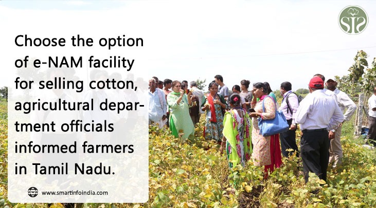 Opt for e-NAM facility to sell cotton, agriculture department officials tell Tamil Nadu farmers