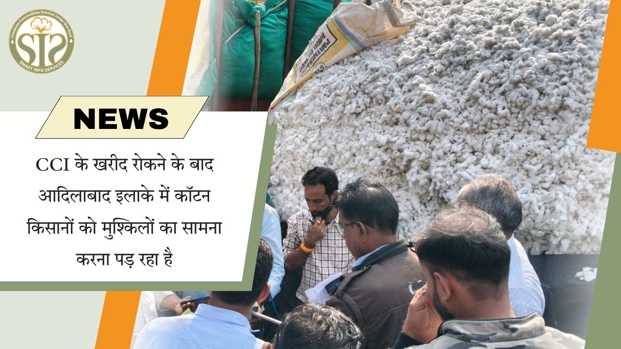 CCI ने रोकी खरीद, कपास किसानों की बढ़ी चिंता